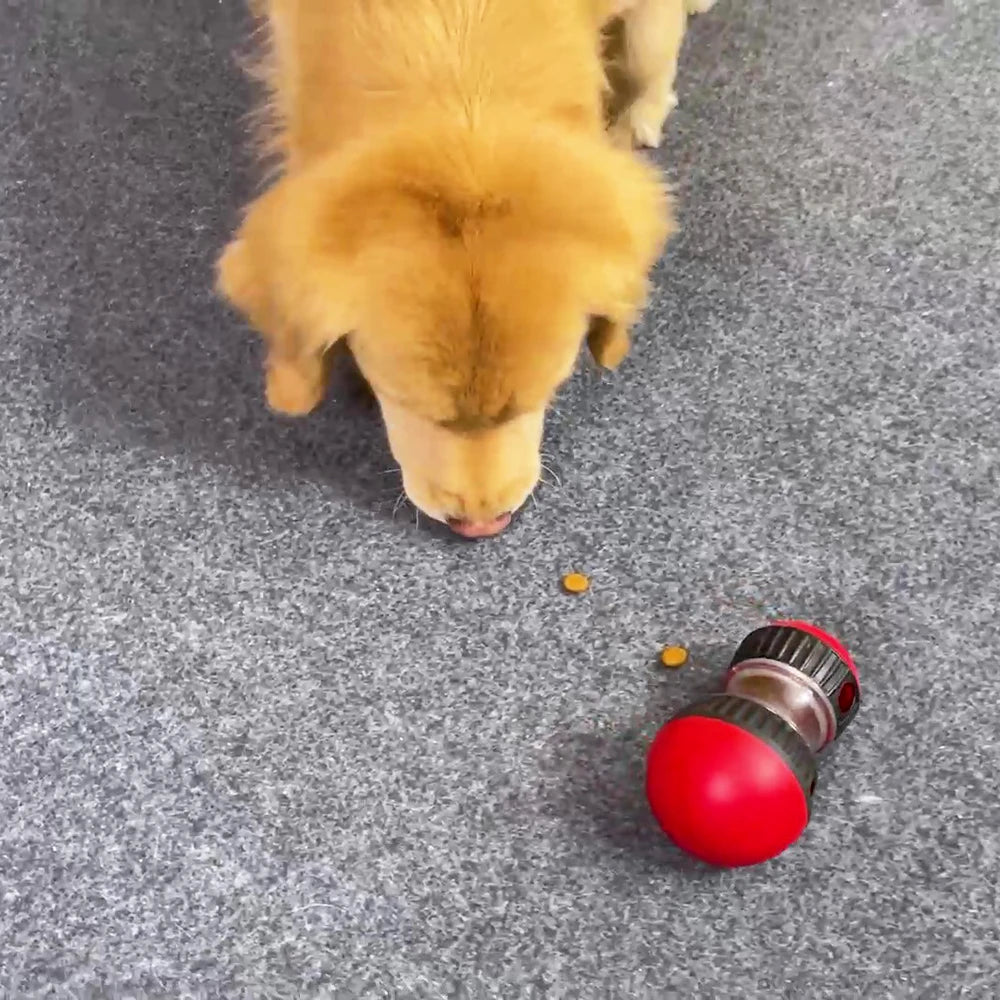 Treat Dispensing Pet Toy